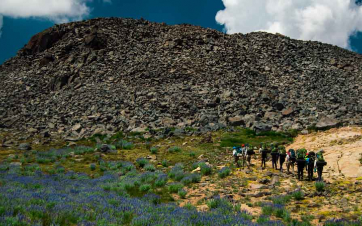 a group of backpacking students make their way toward a rocky hill amongst green shrubs and wildflowers